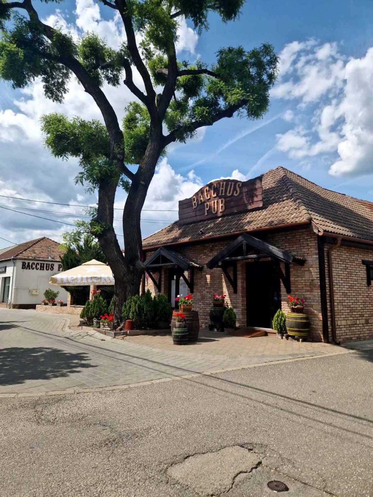 두너허러스티 Bacchus Pub Es Panzio B&B 외부 사진